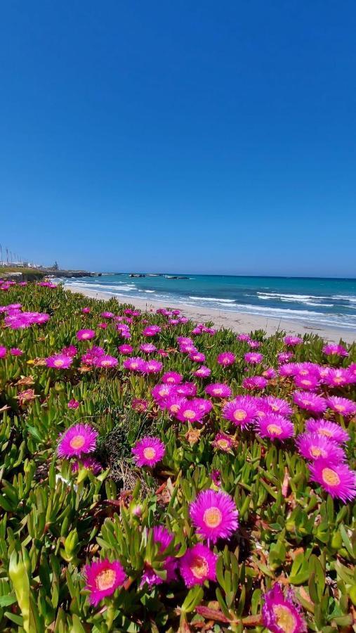 Vila La Casa Di Madia Gagliano del Capo Exteriér fotografie
